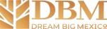 logotipo_dream_big_mexico
