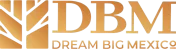 logotipo_dream_big_mexico
